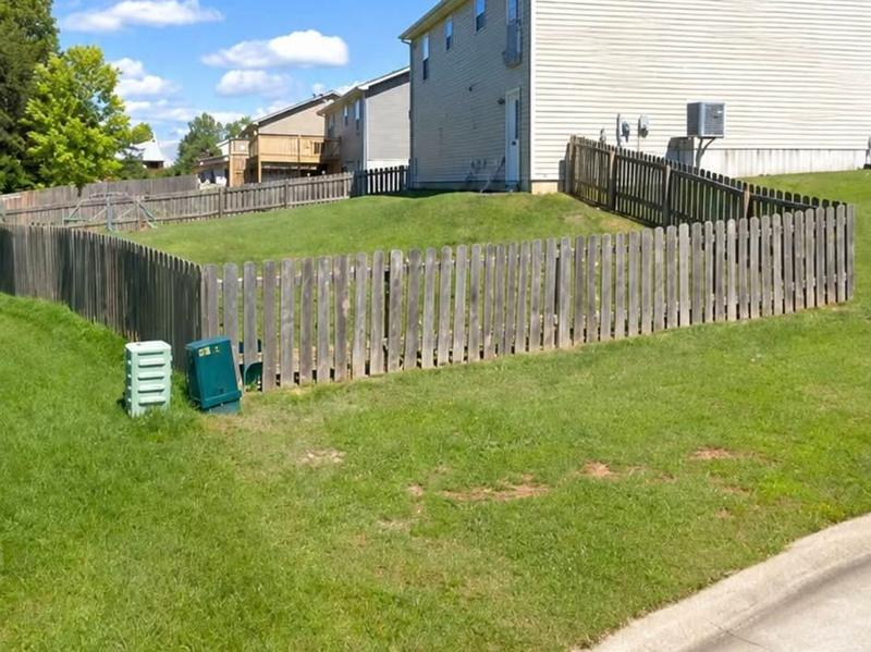 Mowed backyard lawn along a wood fence