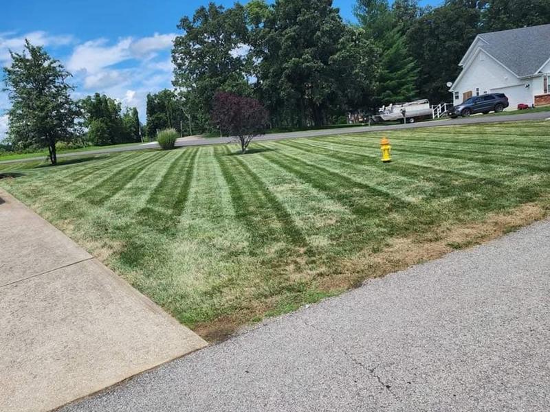 Mowed lawn with stripes along the street