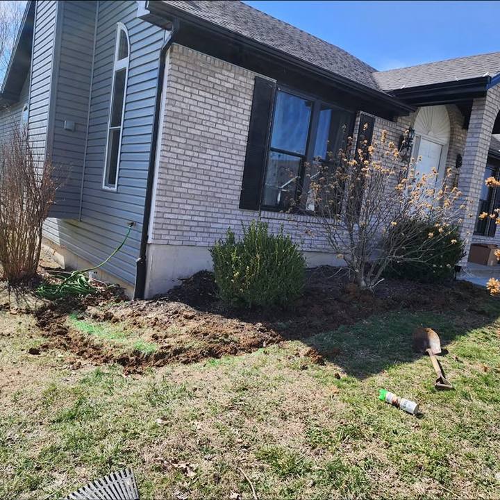 Overgrown front flower bed before