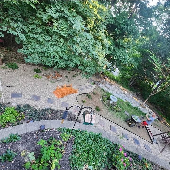 Hillside garden beds after cleanup